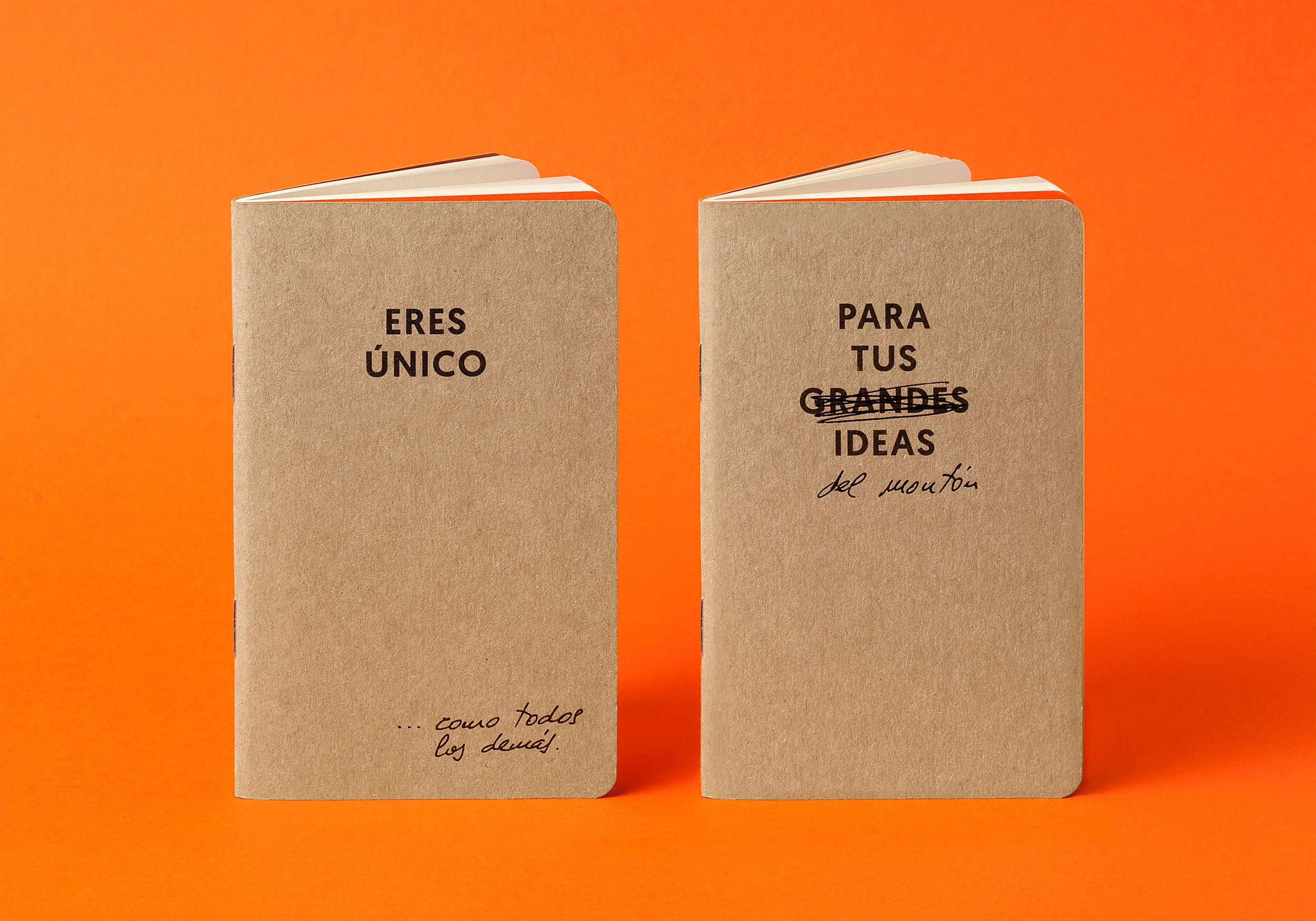 Único y Grandes ideas Raw notebooks